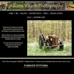 Allison Wilson Photography